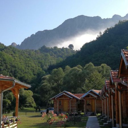 Juzni Vetar Hotell Trnski Odorovci Exteriör bild