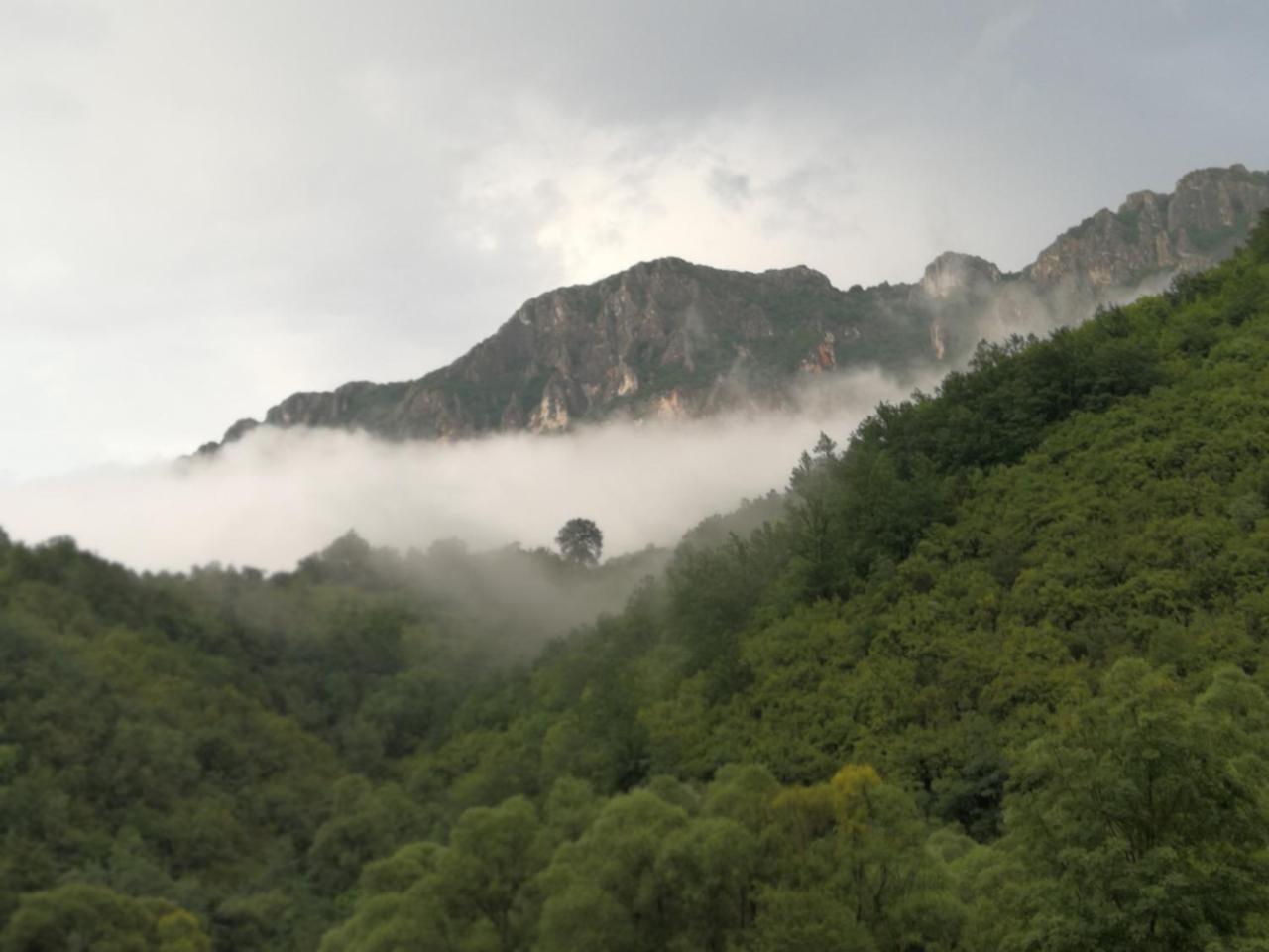 Juzni Vetar Hotell Trnski Odorovci Exteriör bild